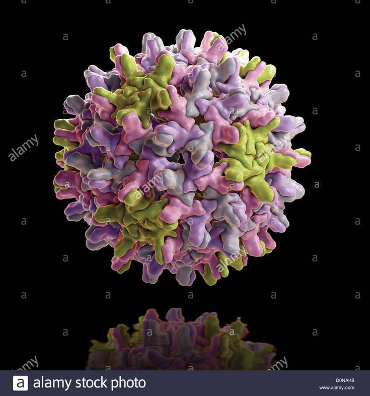 Hepatitis B Viral Load