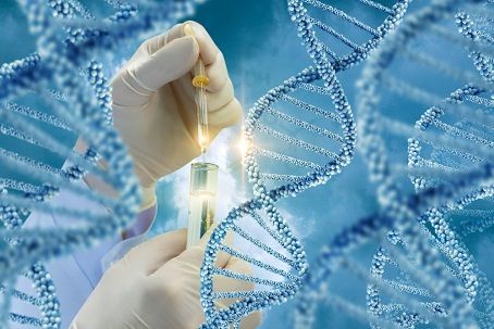 DNA Test for Paternity/Maternity
/Ancestral/Forensic