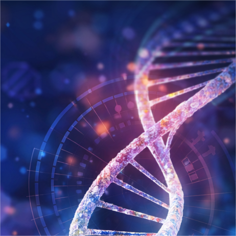 Hereditary Cancer NGS Panel